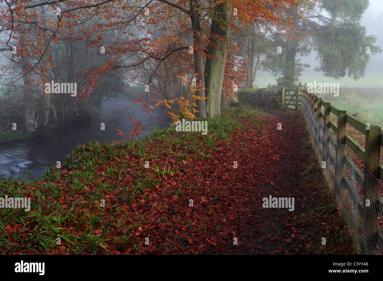 Misty autumn morning walking along the River Washburn near Blubberhouses in Yorkshire, England Stock Photo