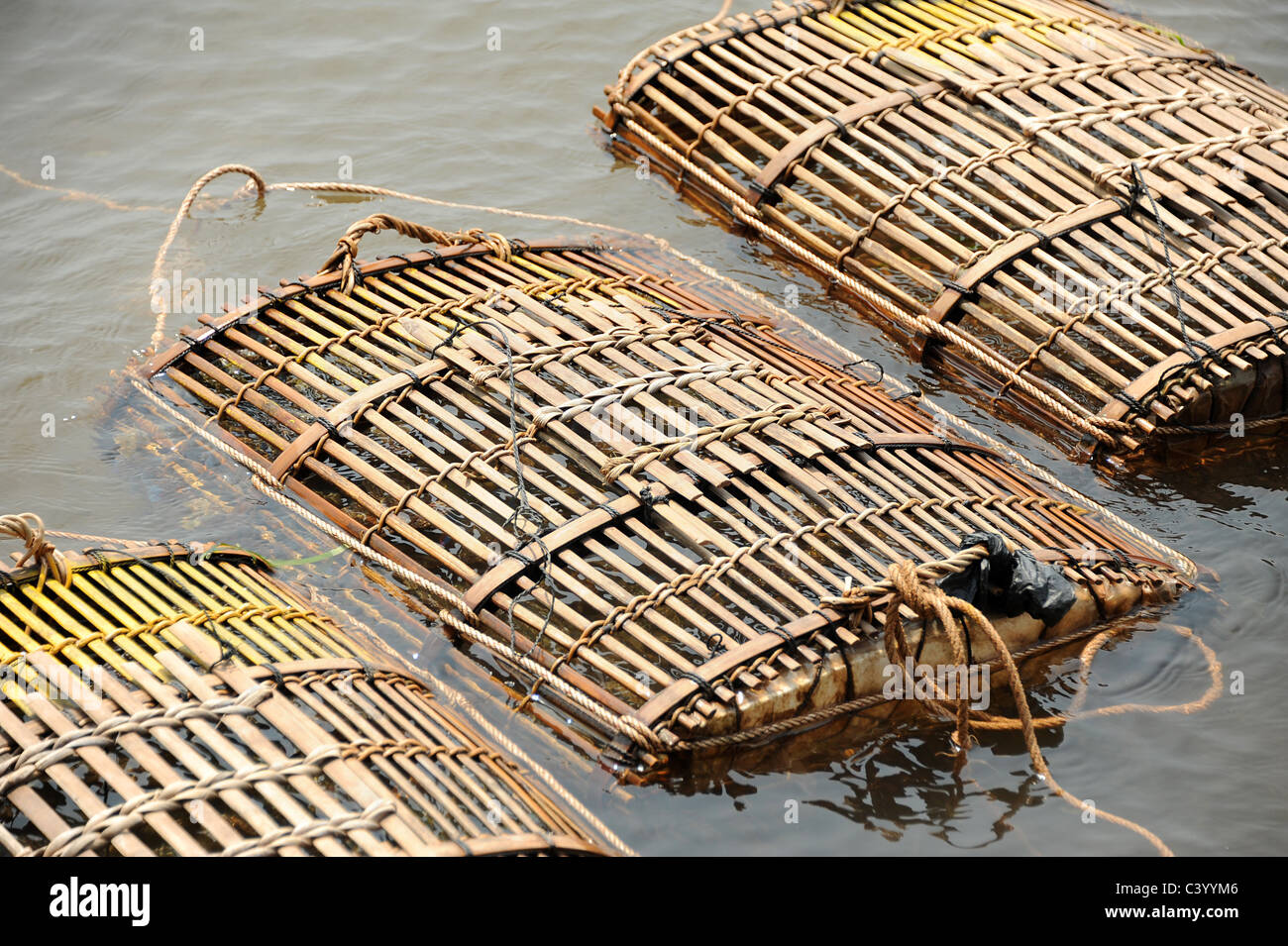 Bamboo fishing baskets in the sea close to Kep crab market, Cambodia