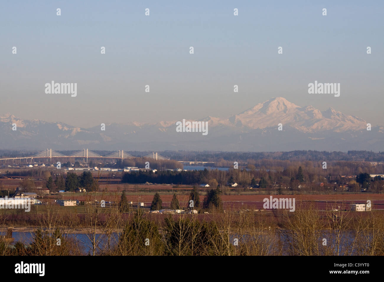 New Golden Ears Bridge 2009 over the Fraser River between Maple Ridge and Langley, BC. Stock Photo