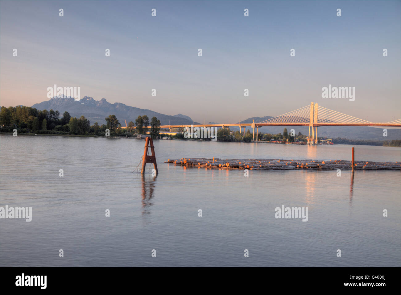 New Golden Ears Bridge 2009 over the Fraser River between Maple Ridge ...