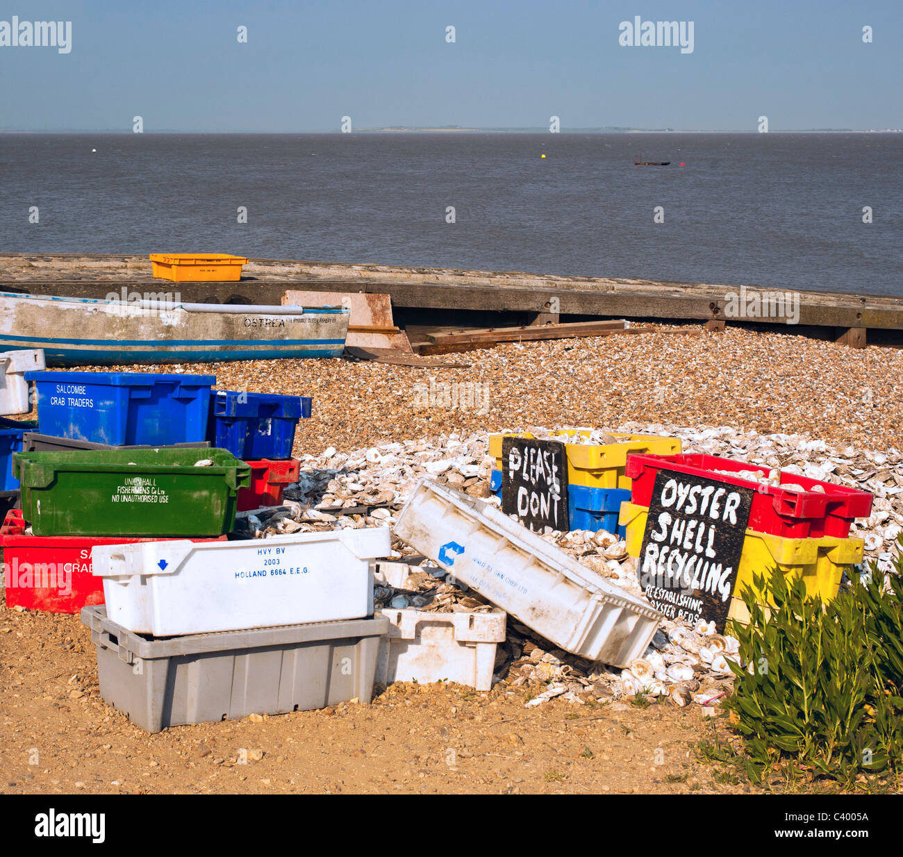 Recycled shells hi-res stock photography and images - Alamy