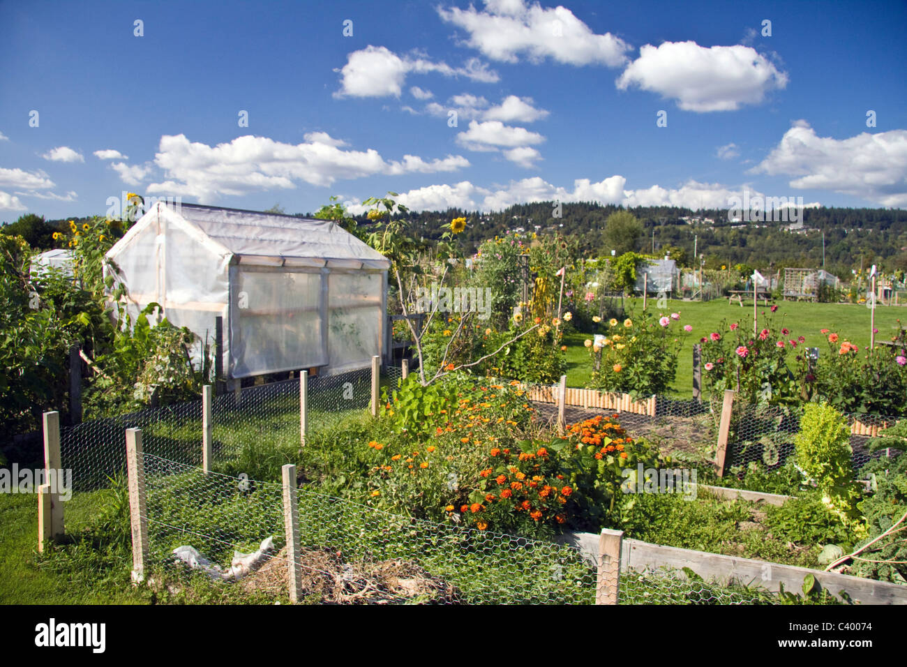 Suburban Community Garden, Colony Farm Regional Park, Port Coquitlam