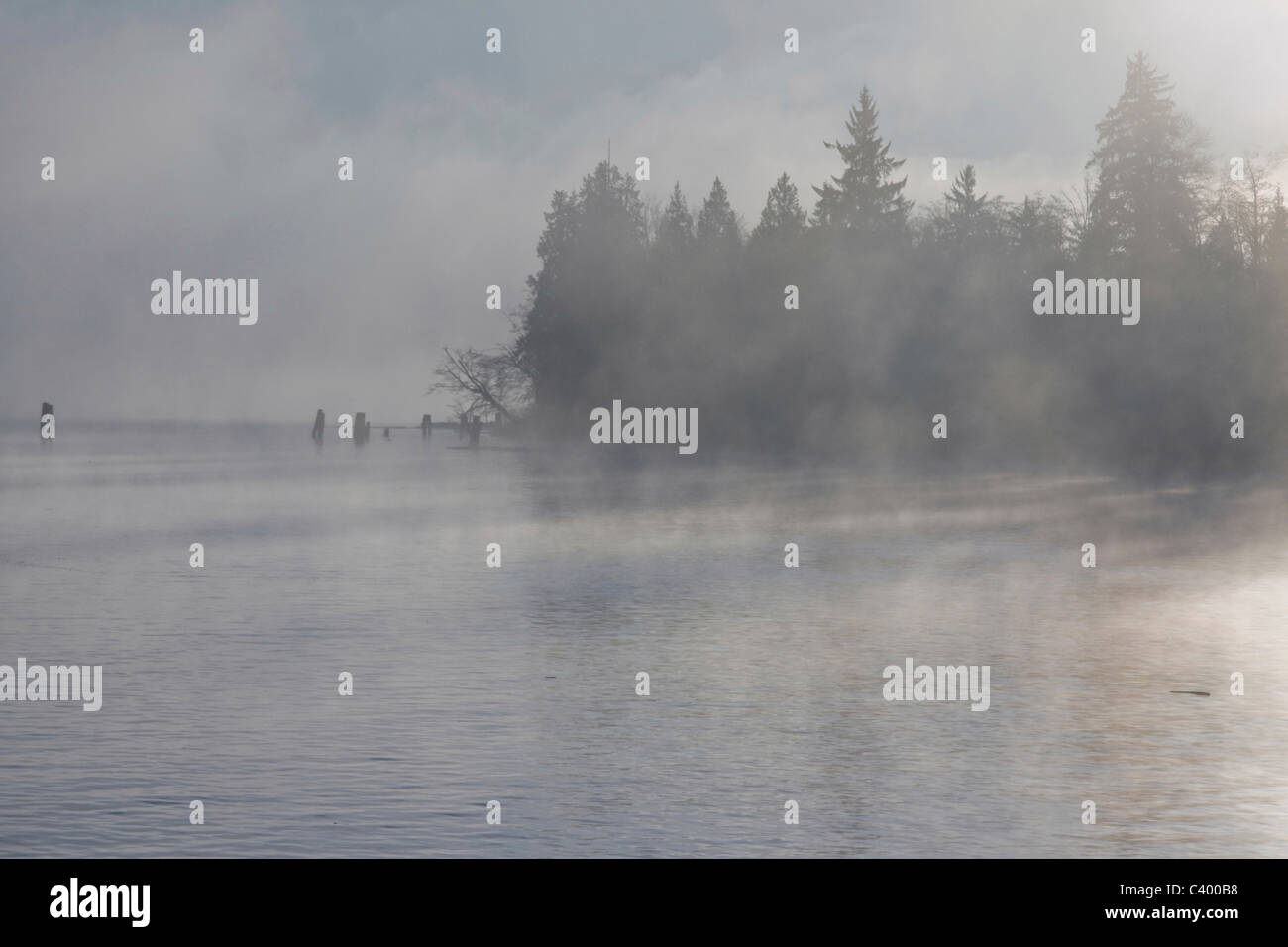 Cool morning fog on the Fraser River. Port Coquitlam, BC, Canada. Stock Photo