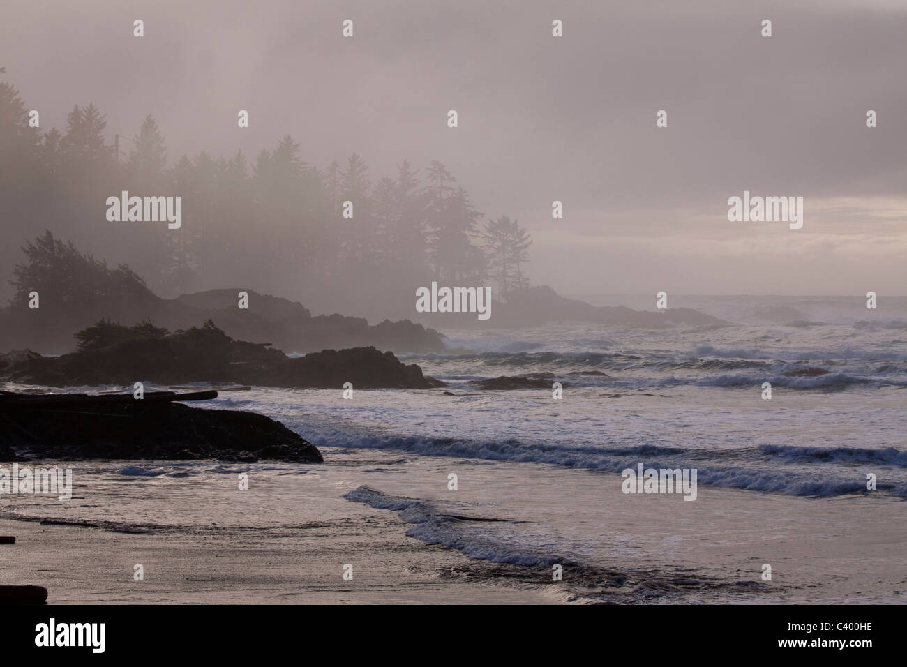 Sunlight filtered through mist provides surreal landscape, Pacific Rim National Park, Vancouver Island, British Columbia Stock Photo