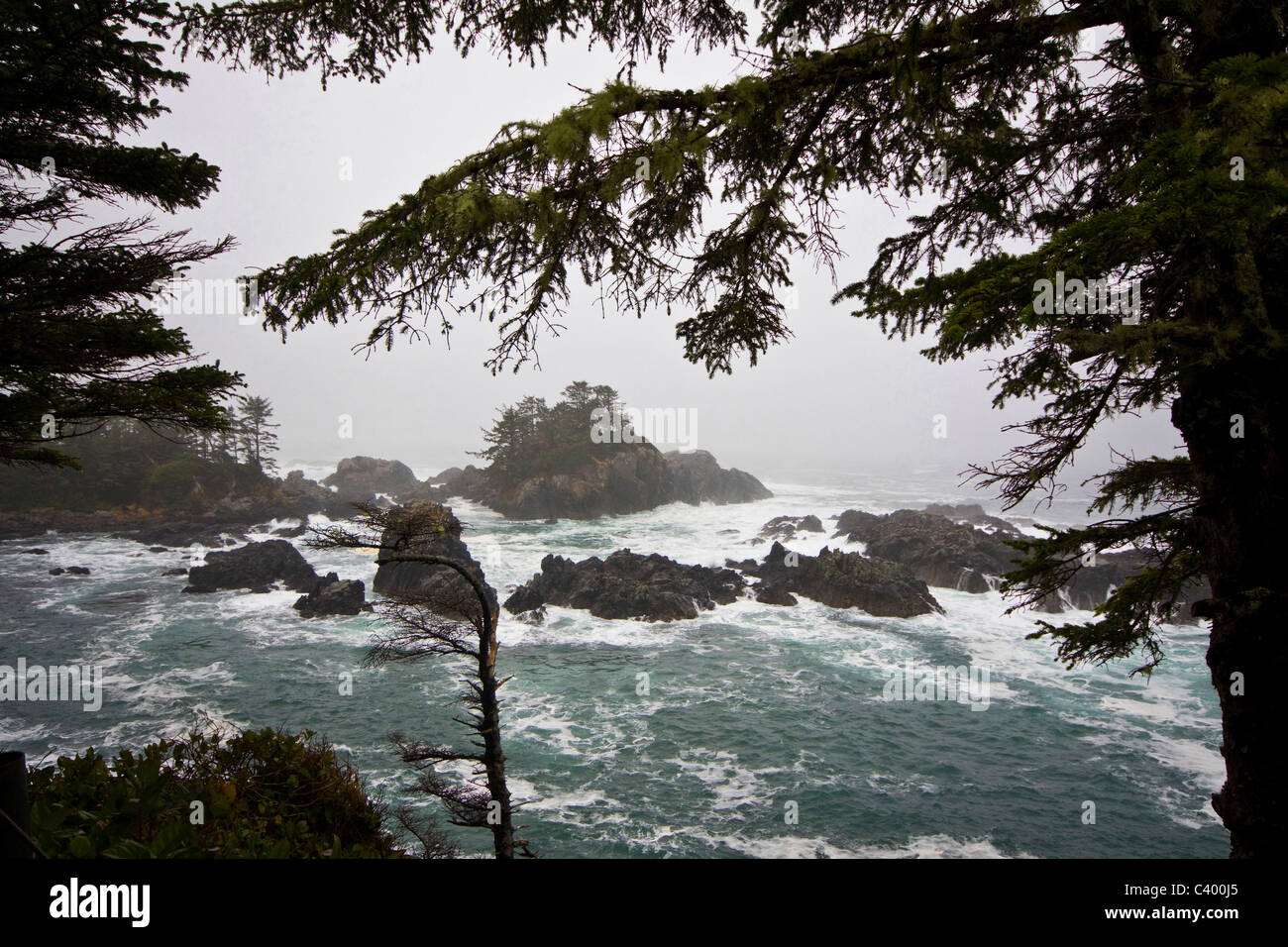 Stormy weather and rough seas along the Wild Pacific Trail, Ucluelet, Vancouver Island, British Columbia Stock Photo
