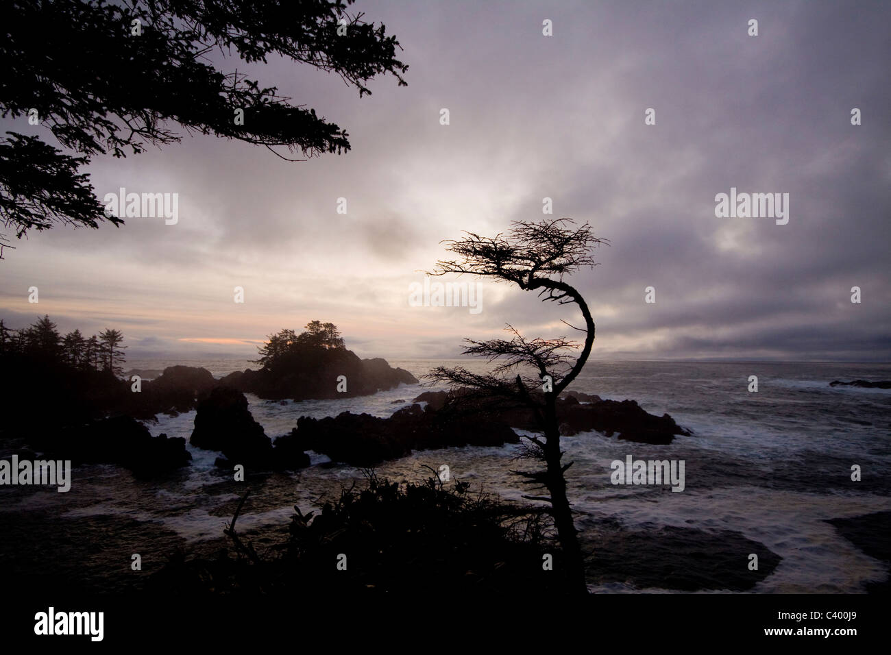 Stormy Sunset along Wild Pacific Trail, Ucluelet, Vancouver Island, British Columbia Stock Photo