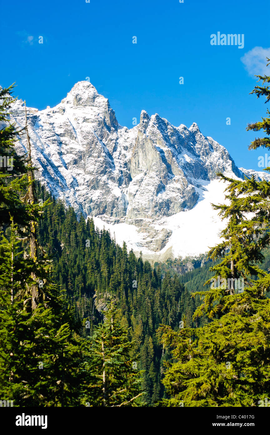 Glaciers in the North Cascades have been shrinking since 1987. Stock Photo