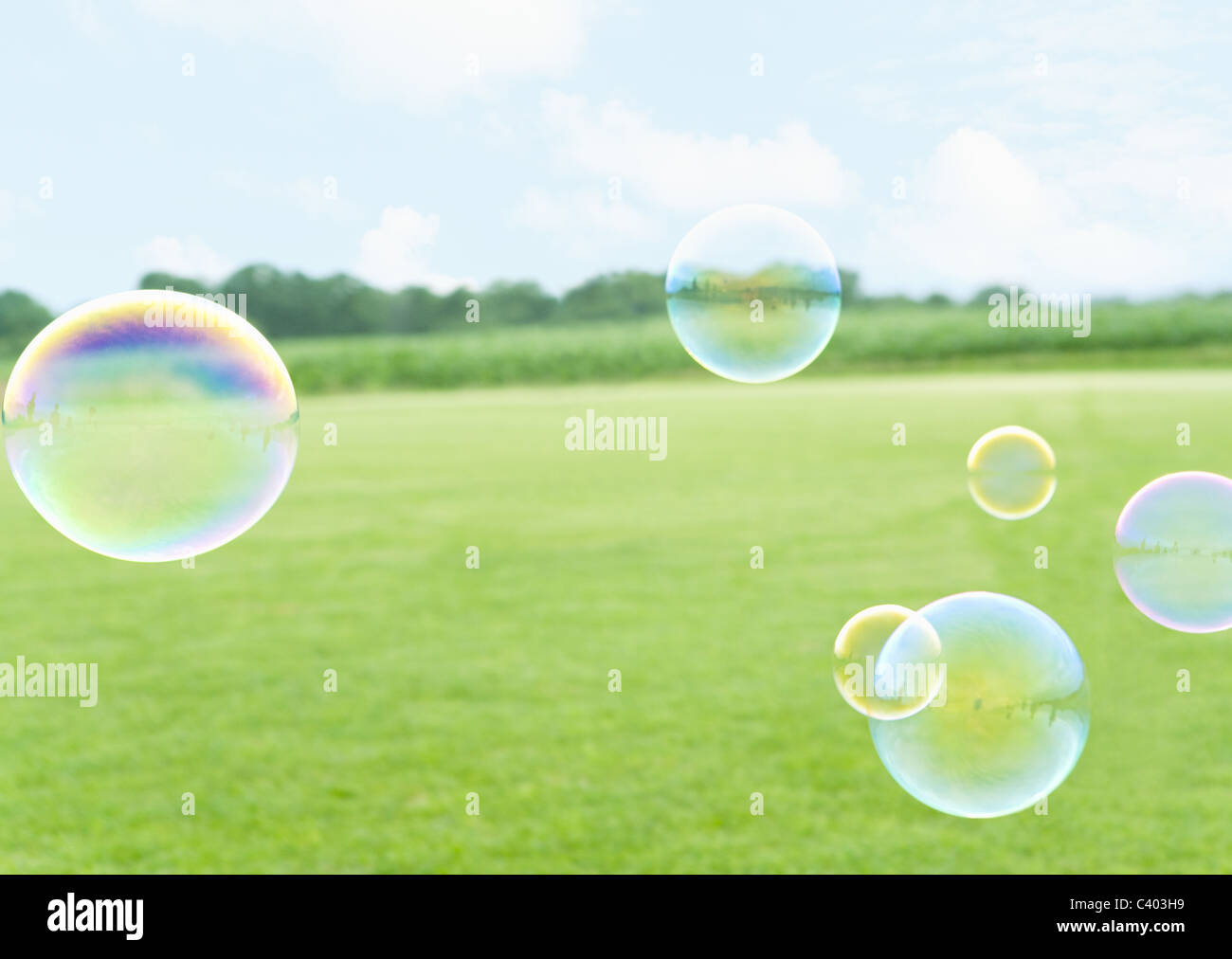 Grass field and bubbles Stock Photo