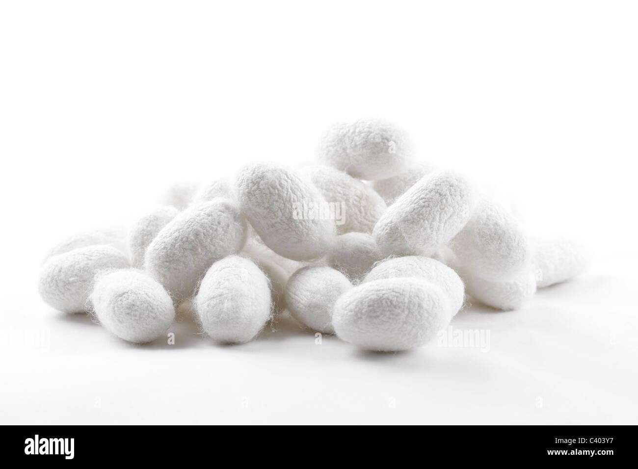 Closeup of silk cocoons on white background. Stock Photo