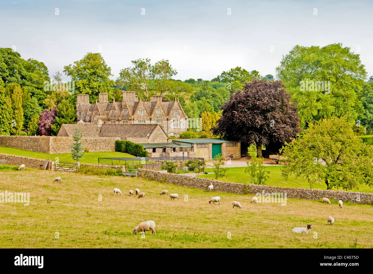 Great Britain, Europe, England, Cotswolds, Upper Slaughter, meadow, sheep, house, home, trees Stock Photo