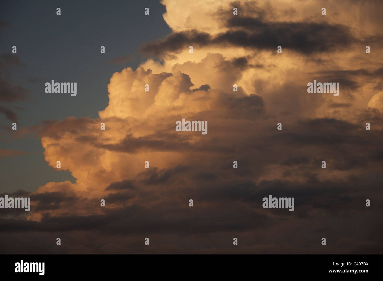 Frequently associated with thunderstorms. Cumulonimbus clouds over Southern England, catching the last rays of the setting sun. Weather, meteorology. Stock Photo