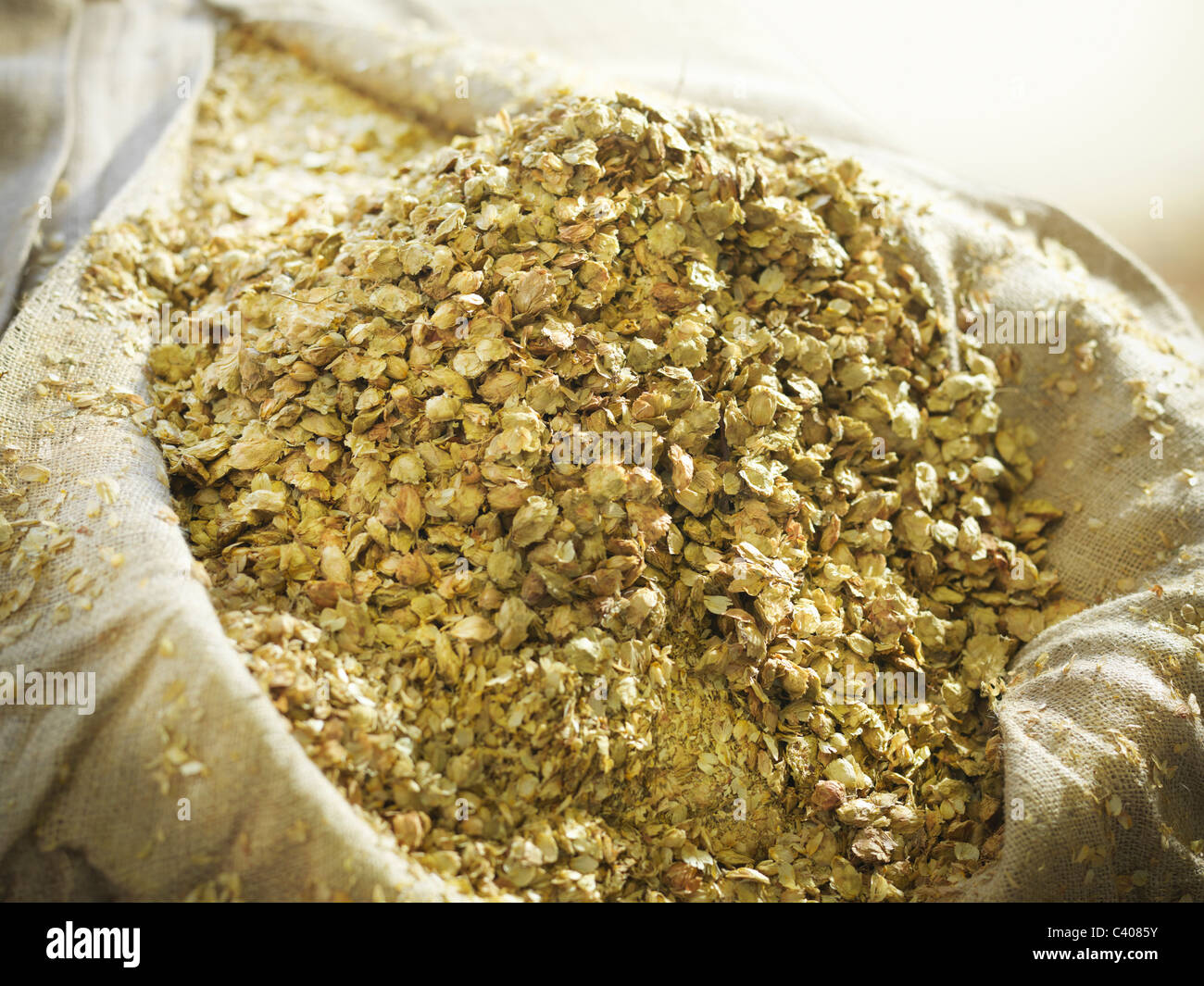 Sack of hops in brewery Stock Photo