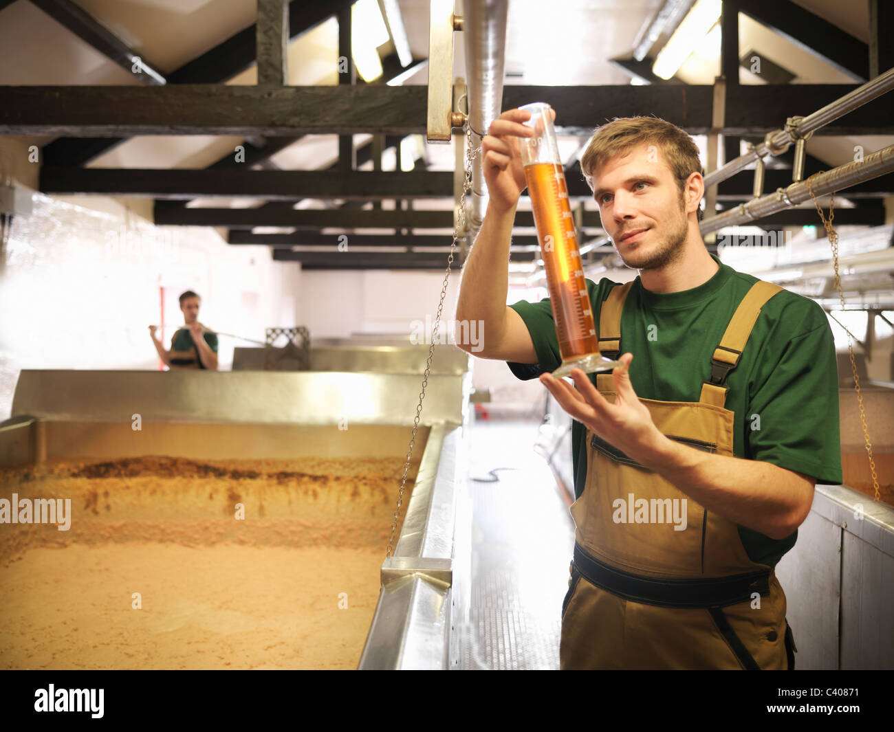 Workers with sample in fermentation room Stock Photo