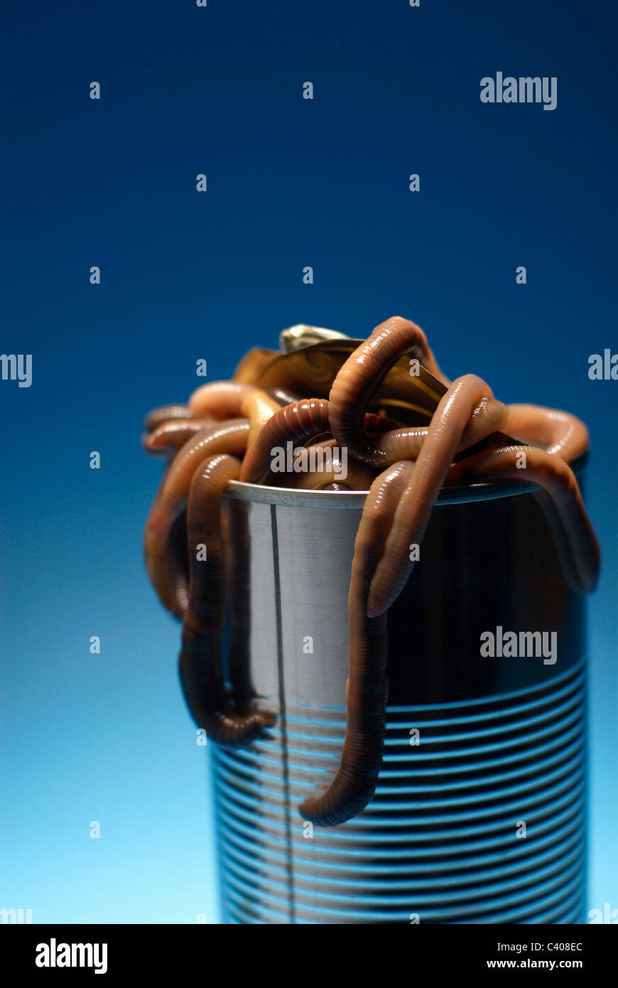 Can of worms hires stock photography and images Alamy