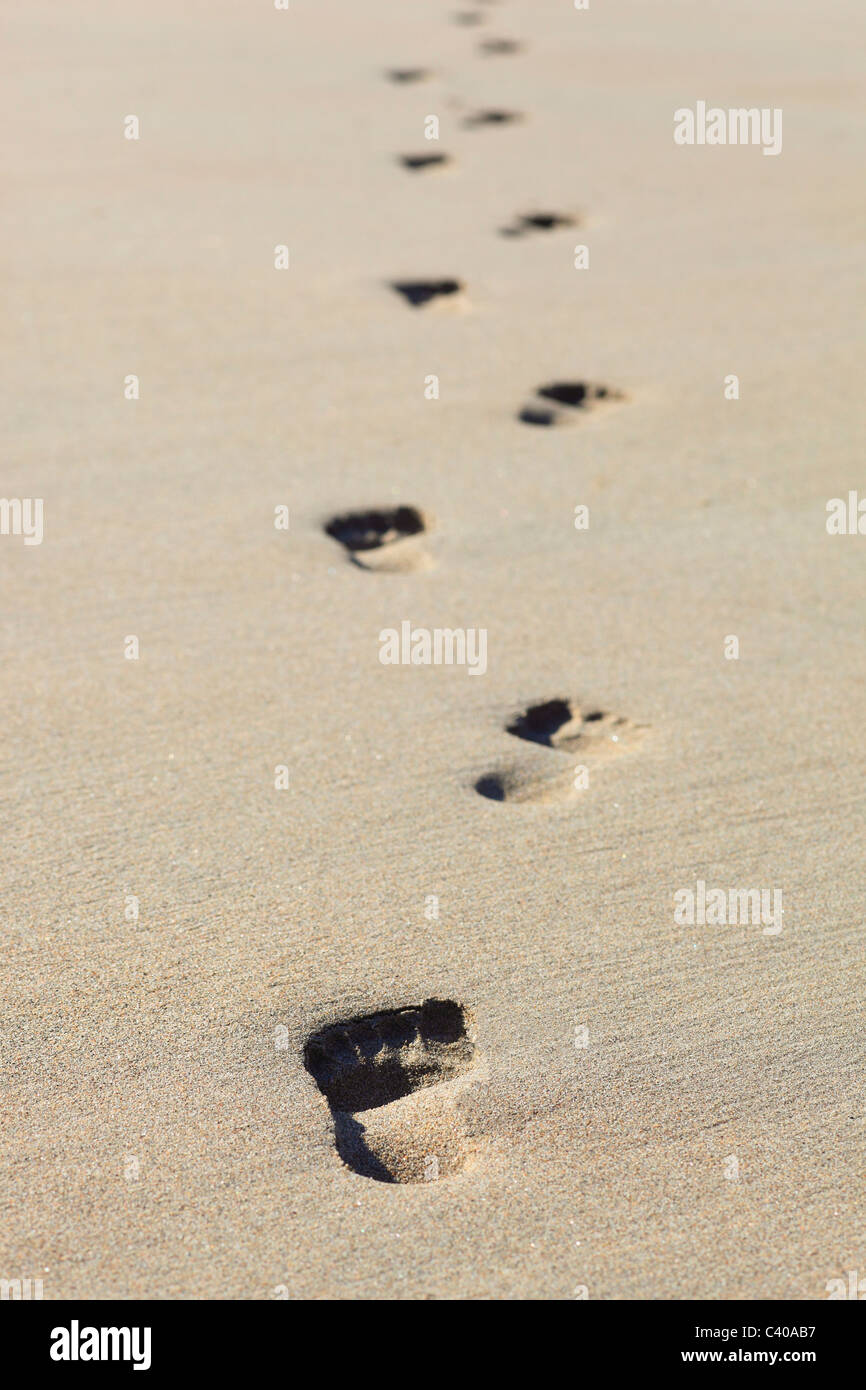 Impression, holidays, foot, footprint, foot impression, footprints