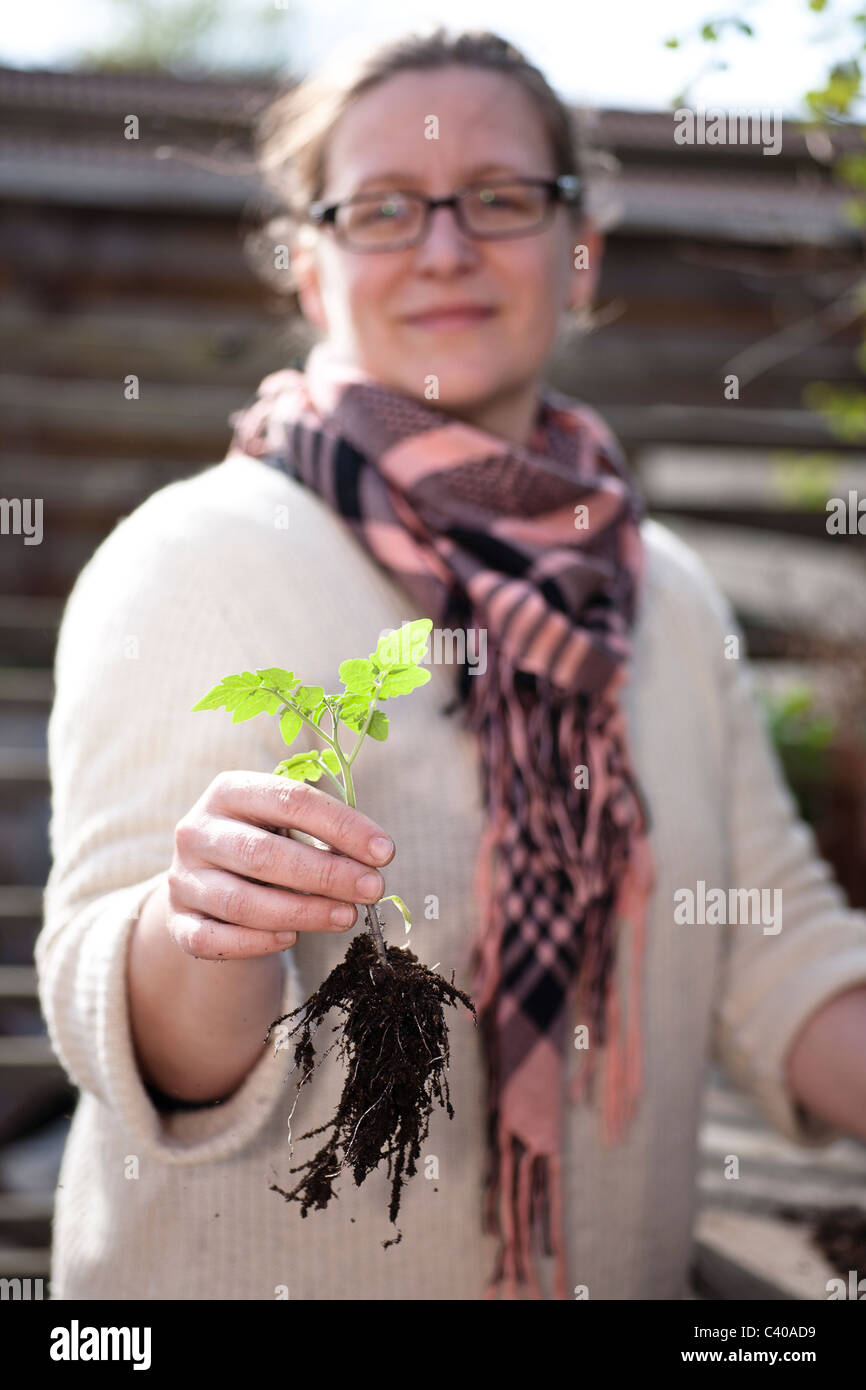 Woman in the garden holding a flower pot with small young plants Stock ...