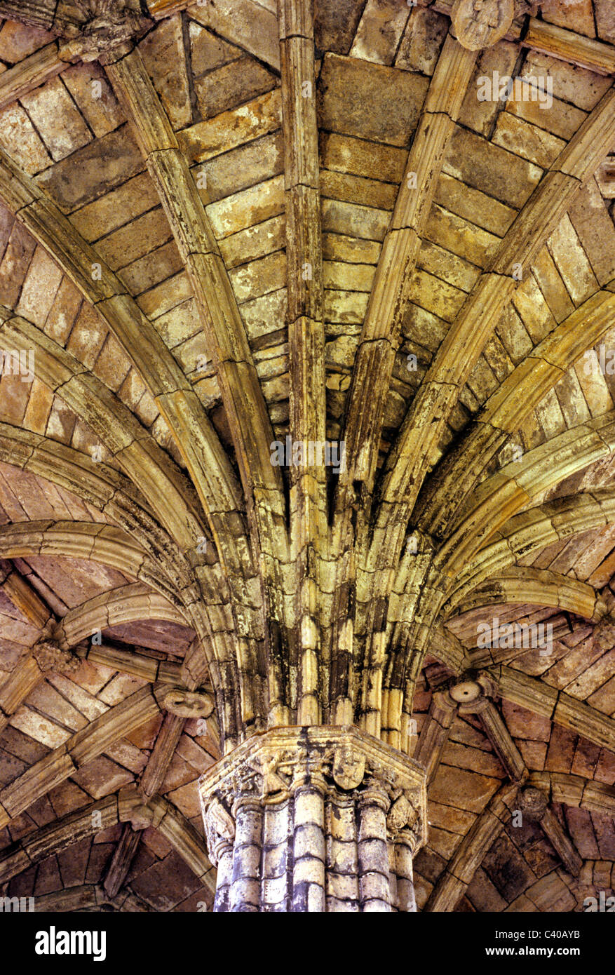 Elgin Cathedral, Scotland. Chapter House medieval roof vault vaulting Scottish medieval cathedrals interior interiors UK gothic Stock Photo