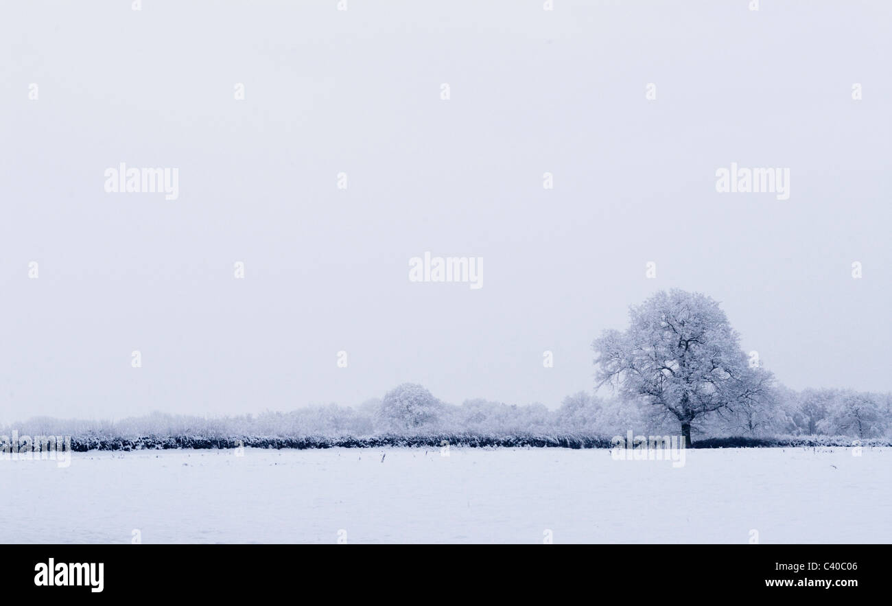  Snow in Tadley, Hampshire. United Kingdom. Photographs taken during