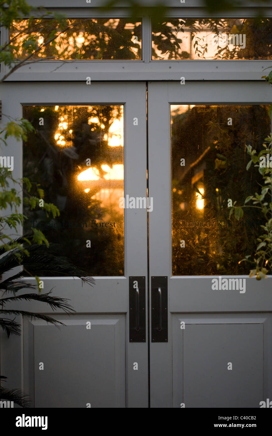 Inside the Greenhouse at Brooklyn Botanical Gardens Stock Photo Alamy