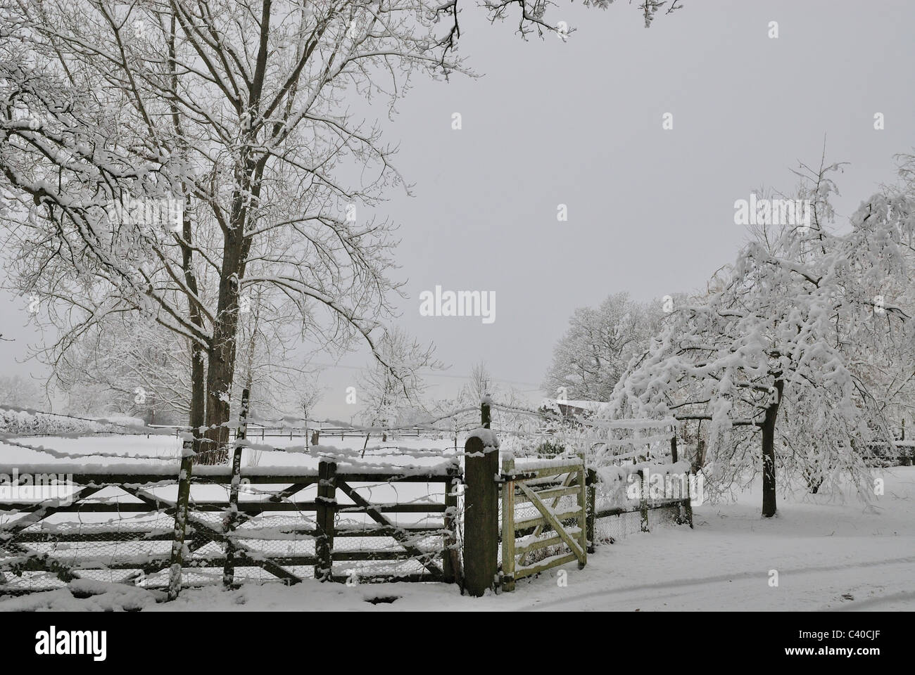 Snow covered gate. Wolverton Lane, Tadley Hampshire, England, UK