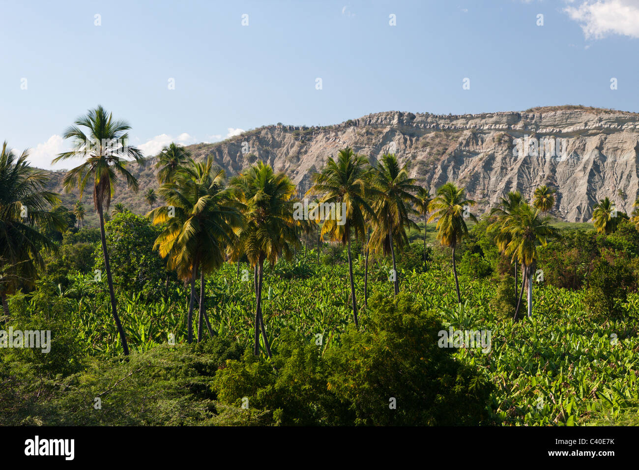 Landscape in the Outback, Independencia Province, Dominican Republic Stock Photo