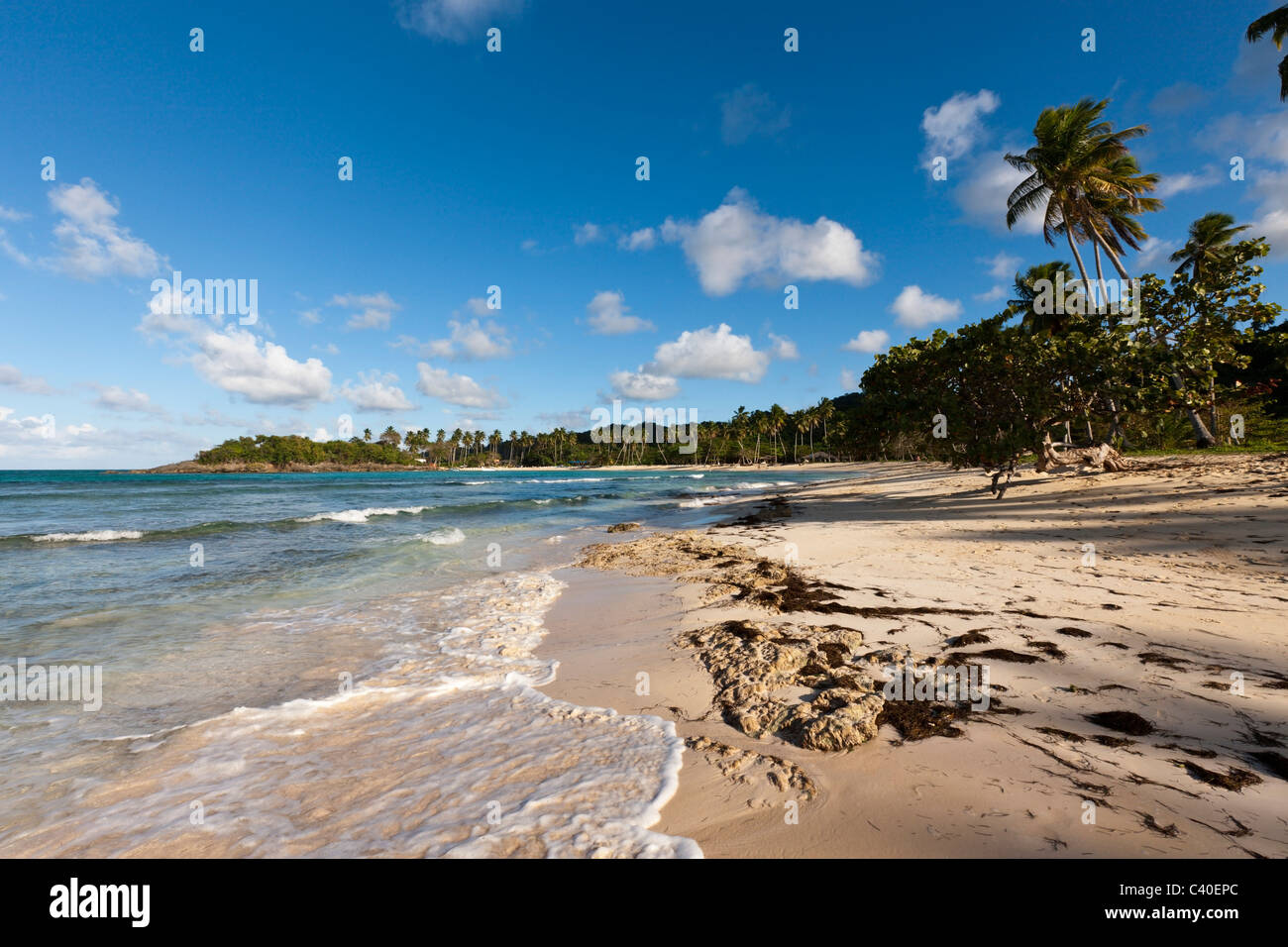 Playa Rincon Beach near Las Galeras, Samana Peninsula, Dominican Republic Stock Photo