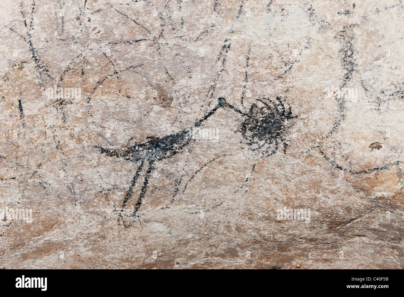Pre-Columbian Rock paintings inside La Linea Limestone Cave, Los Haitises National Park, Dominican Republic Stock Photo