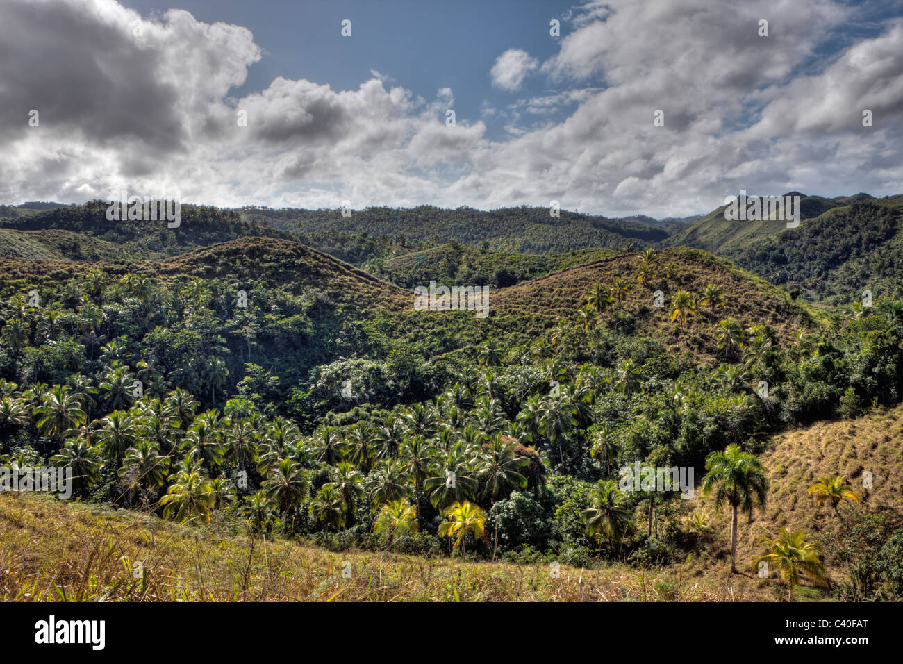 Hills of Las Terrenas, Samana Peninsula, Dominican Republic Stock Photo