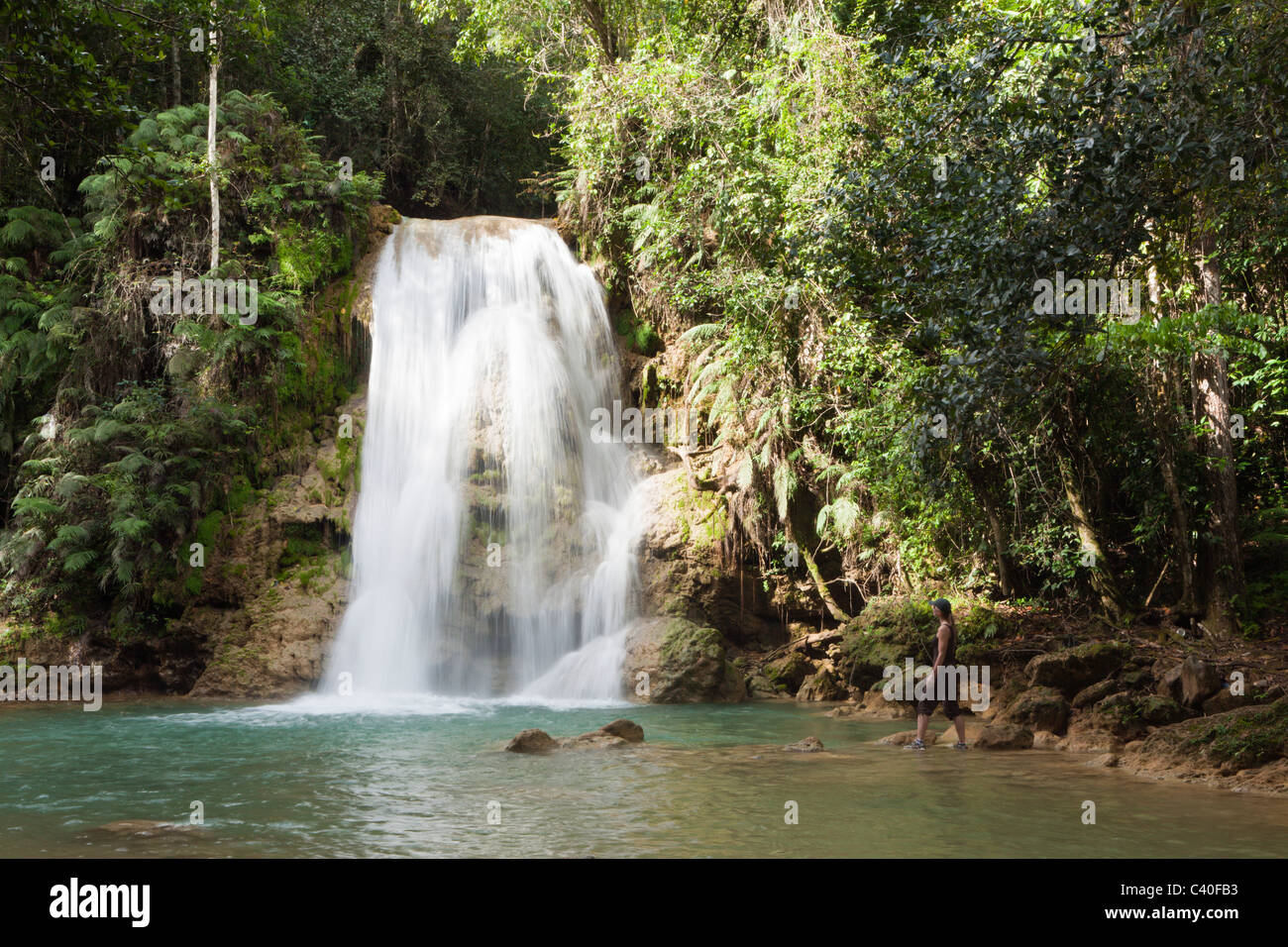 Waterfall Cascada El Limon, Las Terrenas, Samana Peninsula, Dominican Republic Stock Photo