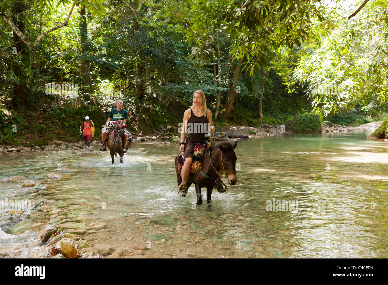 Horseback Tour to the Waterfall Cascada El Limon, Las Terrenas, Samana Peninsula, Dominican Republic Stock Photo