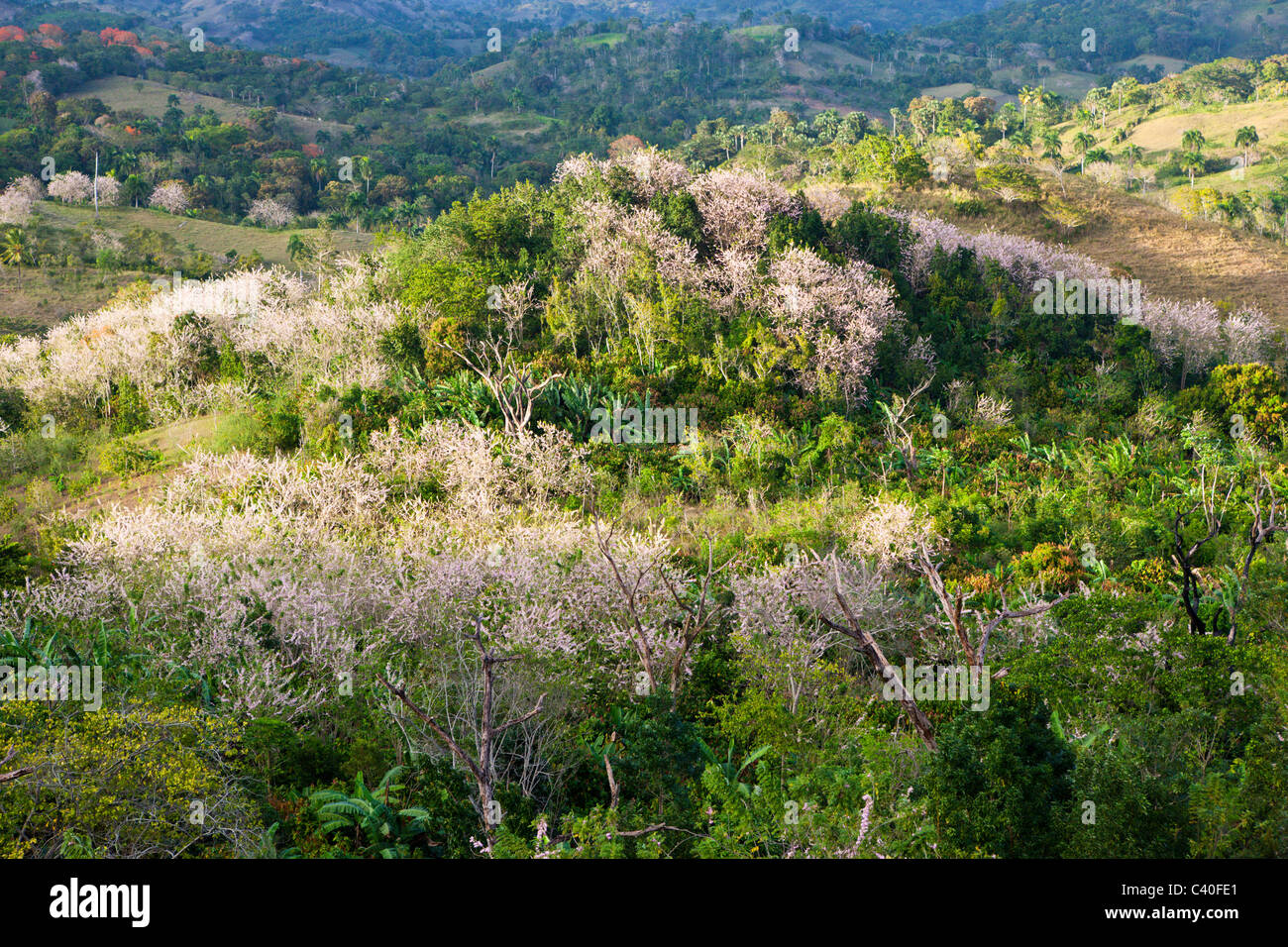 Hills in the Outback, Punta Rucia, Dominican Republic Stock Photo