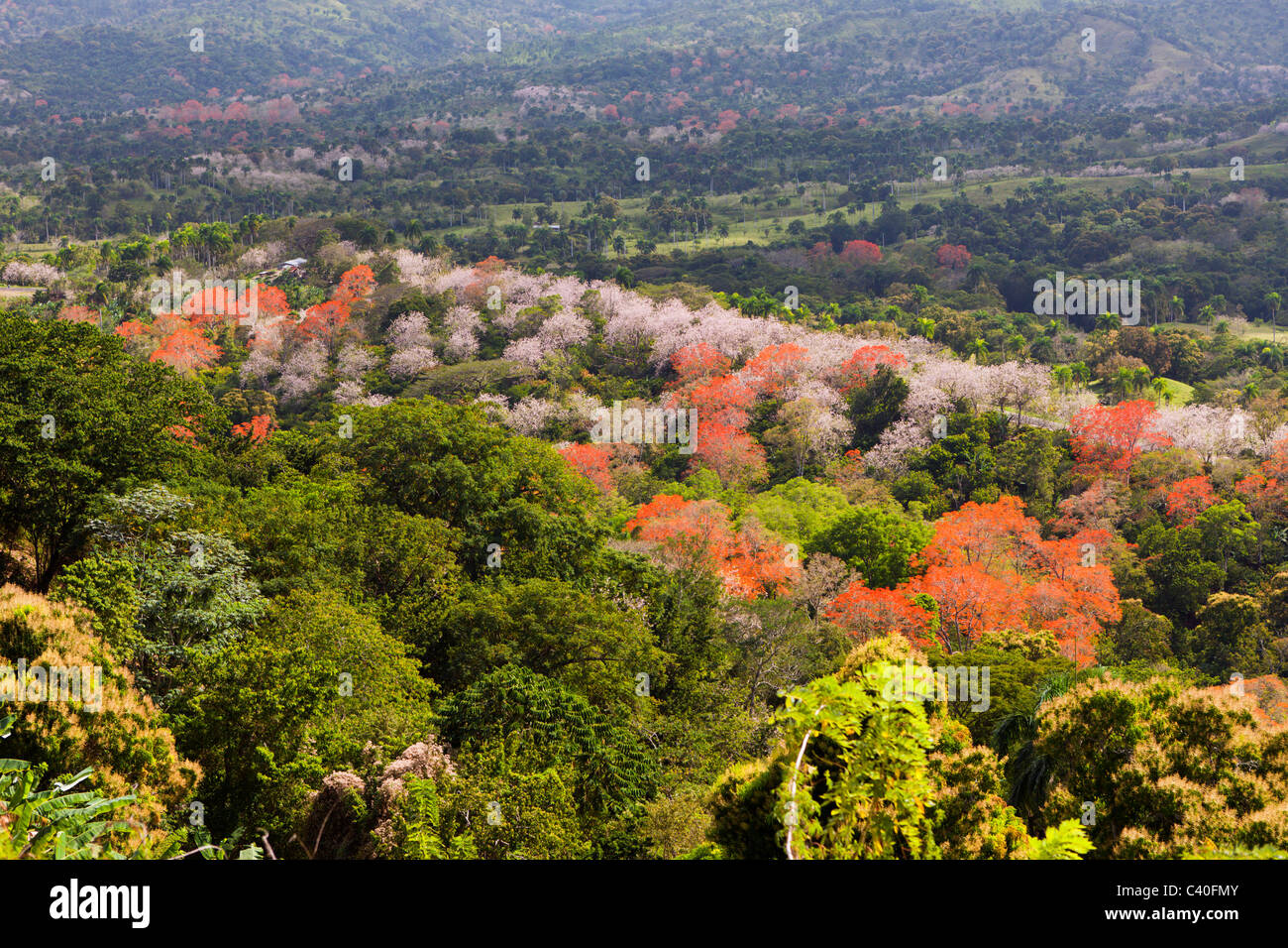 Hills in the Outback, Punta Rucia, Dominican Republic Stock Photo