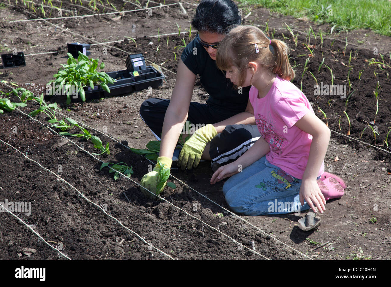 Girl Scouts Help Plant Garden to Grow Produce for Community Food Bank Stock Photo
