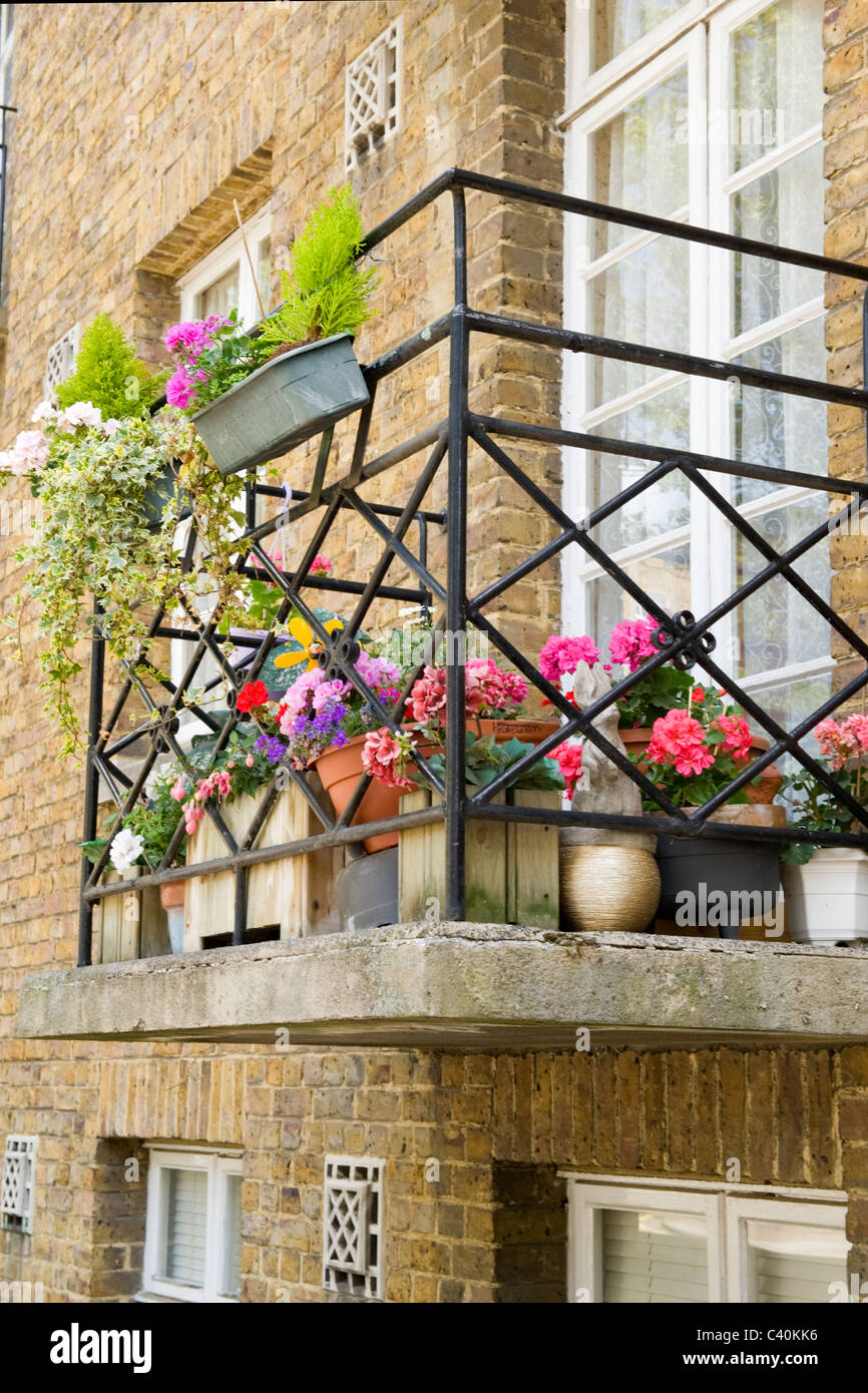 London Kings Cross urban garden with pots window boxes & planters on  balcony of inner city flat or apartment or condo wrought iron railing Stock  Photo - Alamy