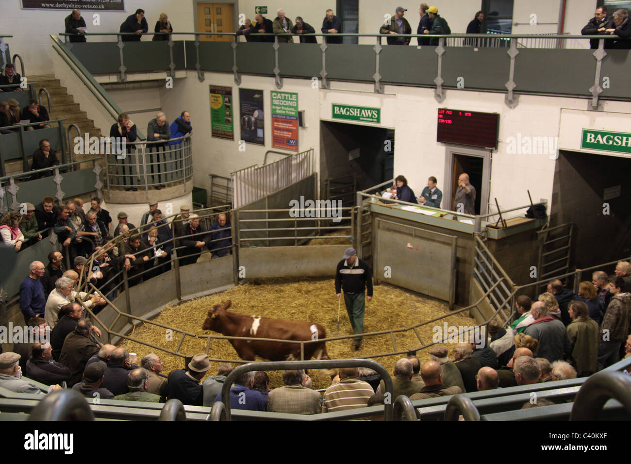 Bakewell peak district agricultural centre hires stock photography and