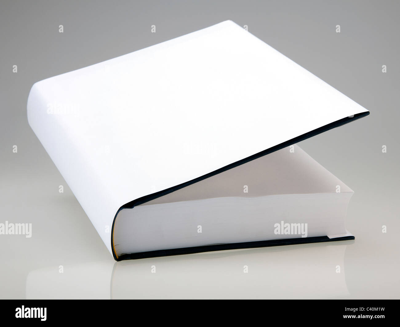 Book with open page Stock Photo