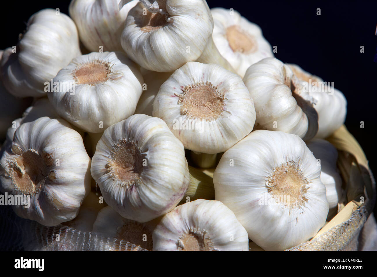 garlic bulbs allium sativum Stock Photo