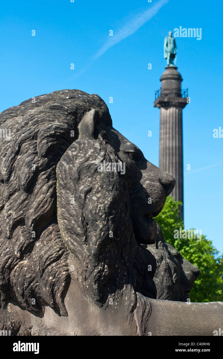 St George's Hall Lion with Wellington Monument in background. St Georges Plateau, Liverpool, UK Stock Photo