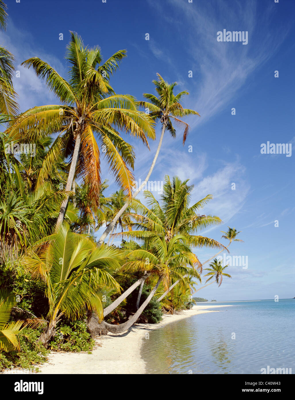 Aitutaki, Atoll, Beach, Cook islands, Holiday, Island, Landmark, Palm