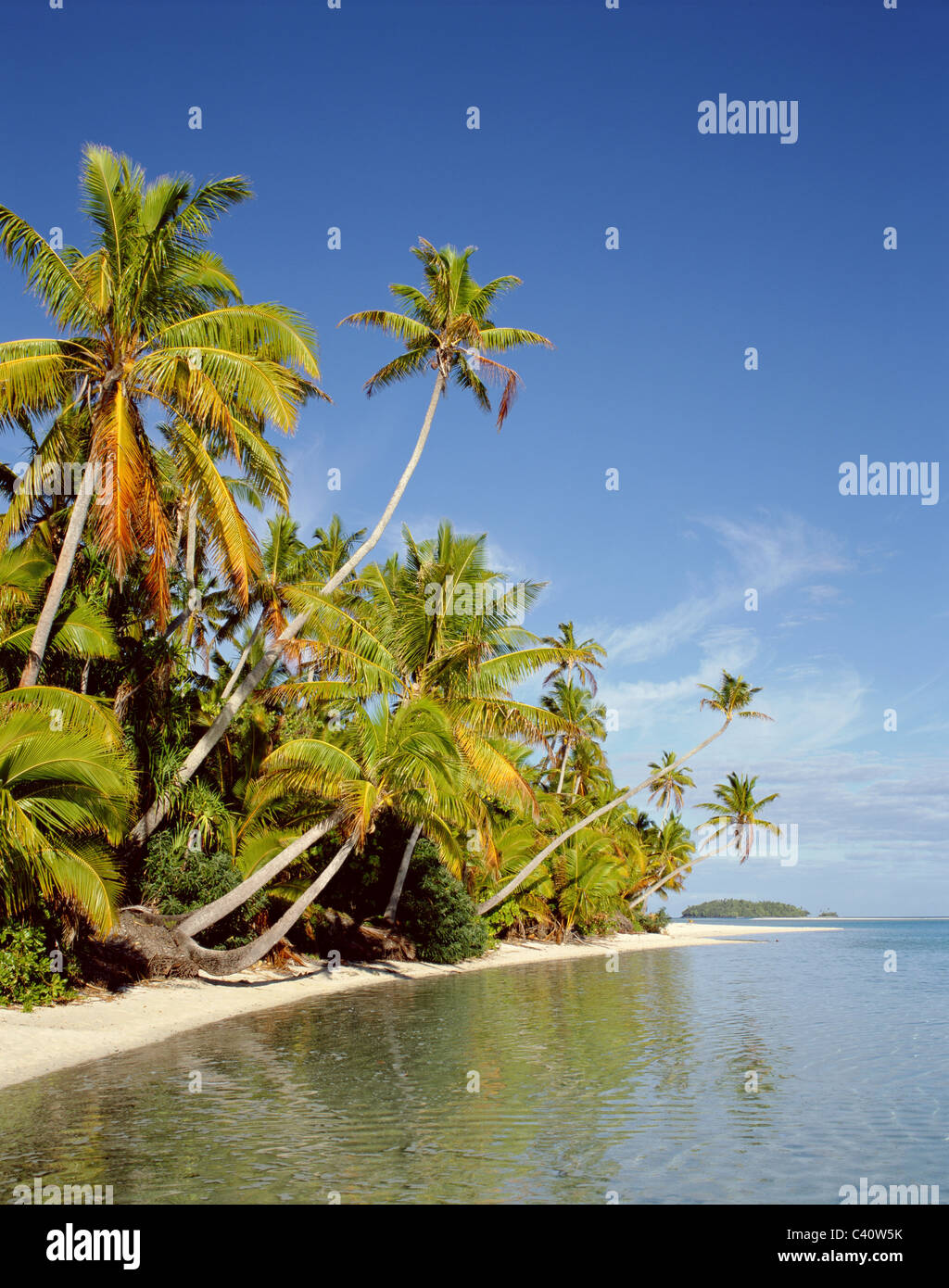 Aitutaki, Atoll, Beach, Cook islands, Holiday, Island, Landmark, Palm