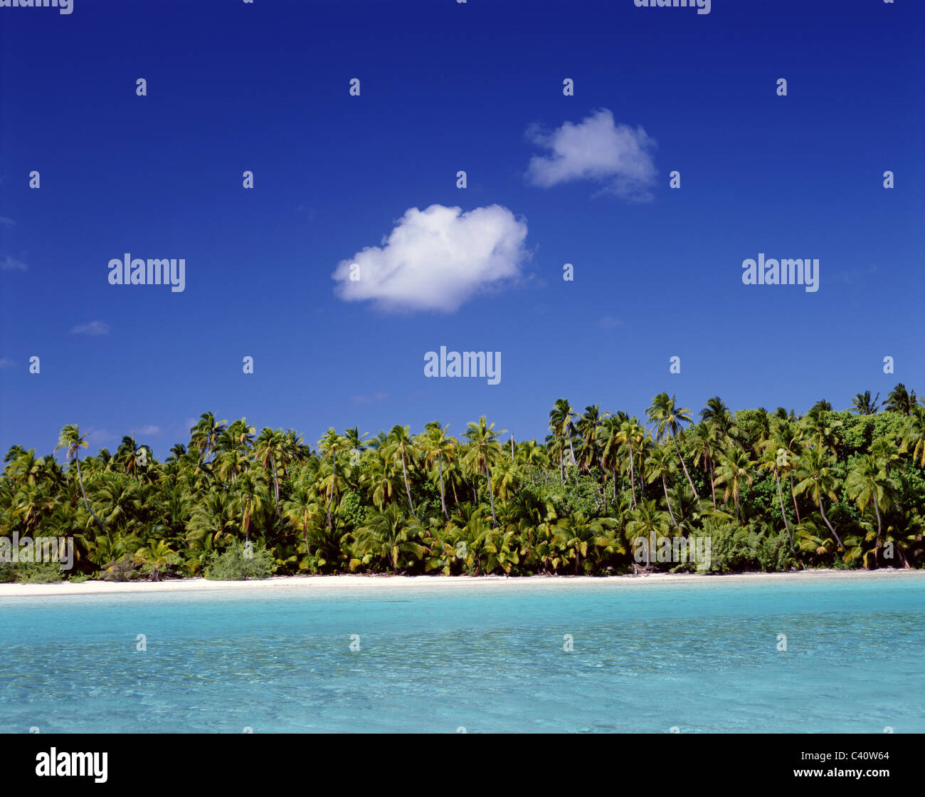 Aitutaki, Atoll, Beach, Cook islands, Holiday, Island, Landmark, Palm