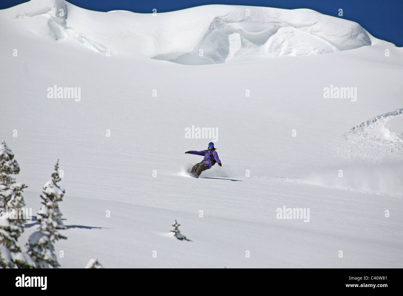 Female snowboarder enjoys fresh powder off piste at Brighton Ski Resort. Salt Lake City, Utah, United States, North America Stock Photo
