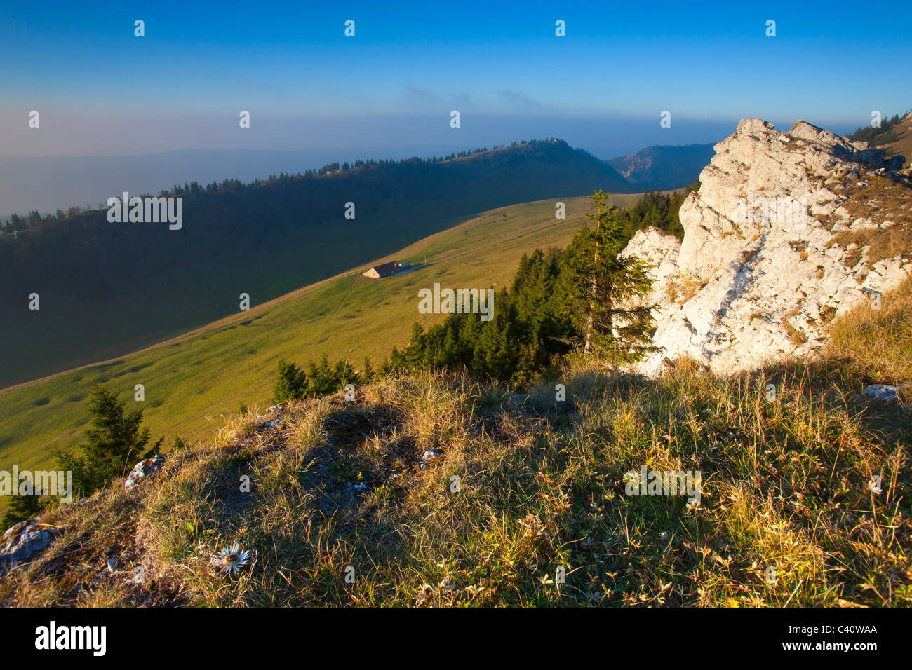 chasseral-switzerland-europe-bern-berne-hi-res-stock-photography-and