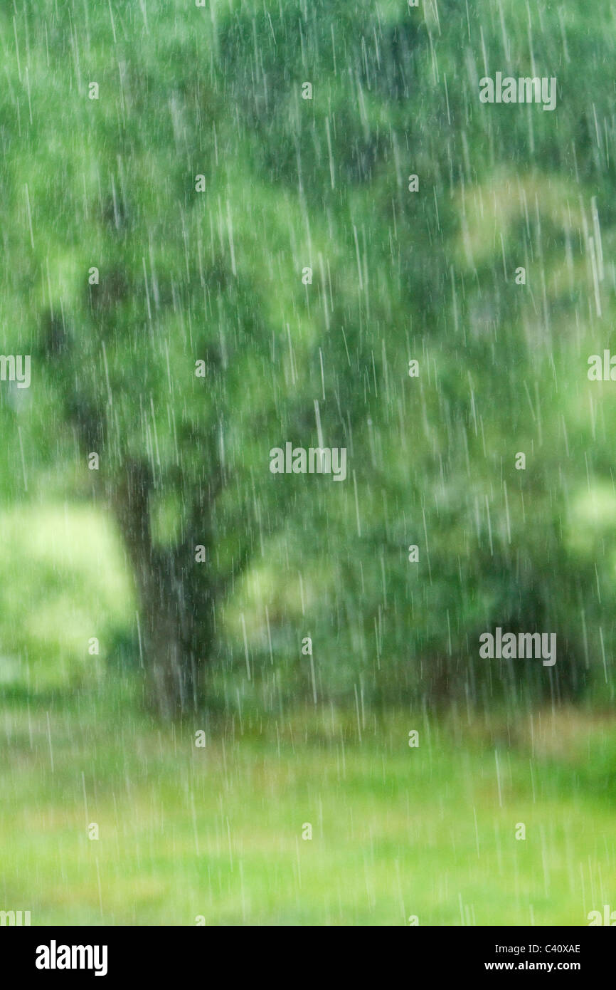 Rainfall hires stock photography and images Alamy