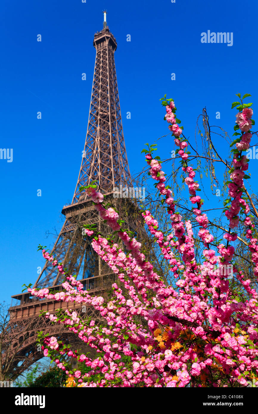 Eiffel Tower during the spring bloom. Paris, France. Stock Photo