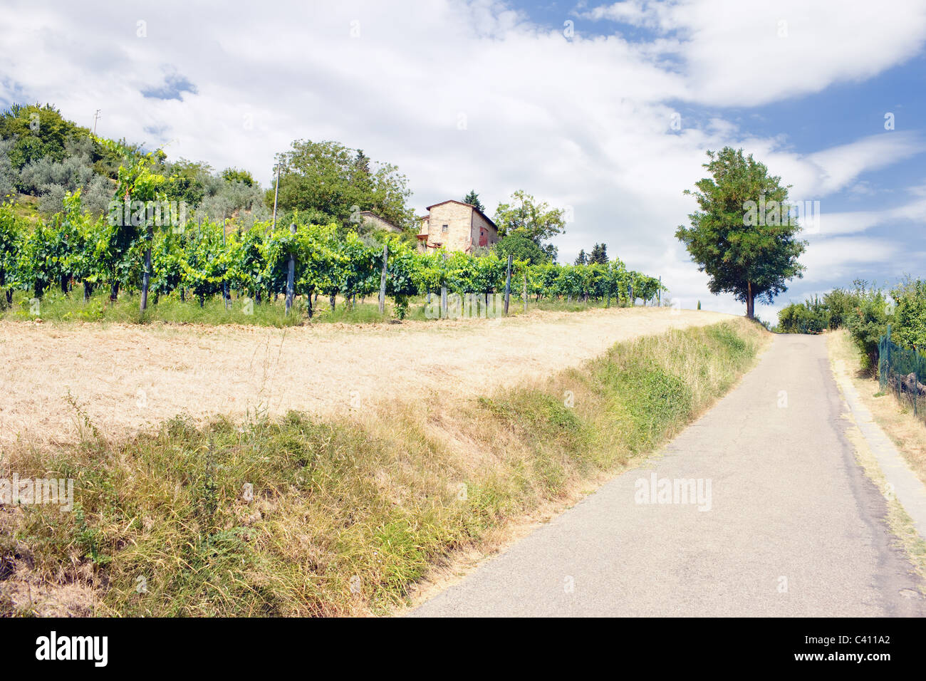 A typical landscape of Tuscany Stock Photo - Alamy
