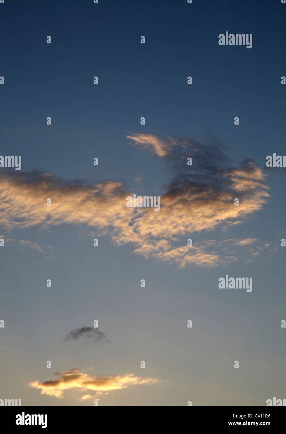 Portrait image of sunset. Looking up into sky with graduated effect, warm colours against darkening blue sky Stock Photo