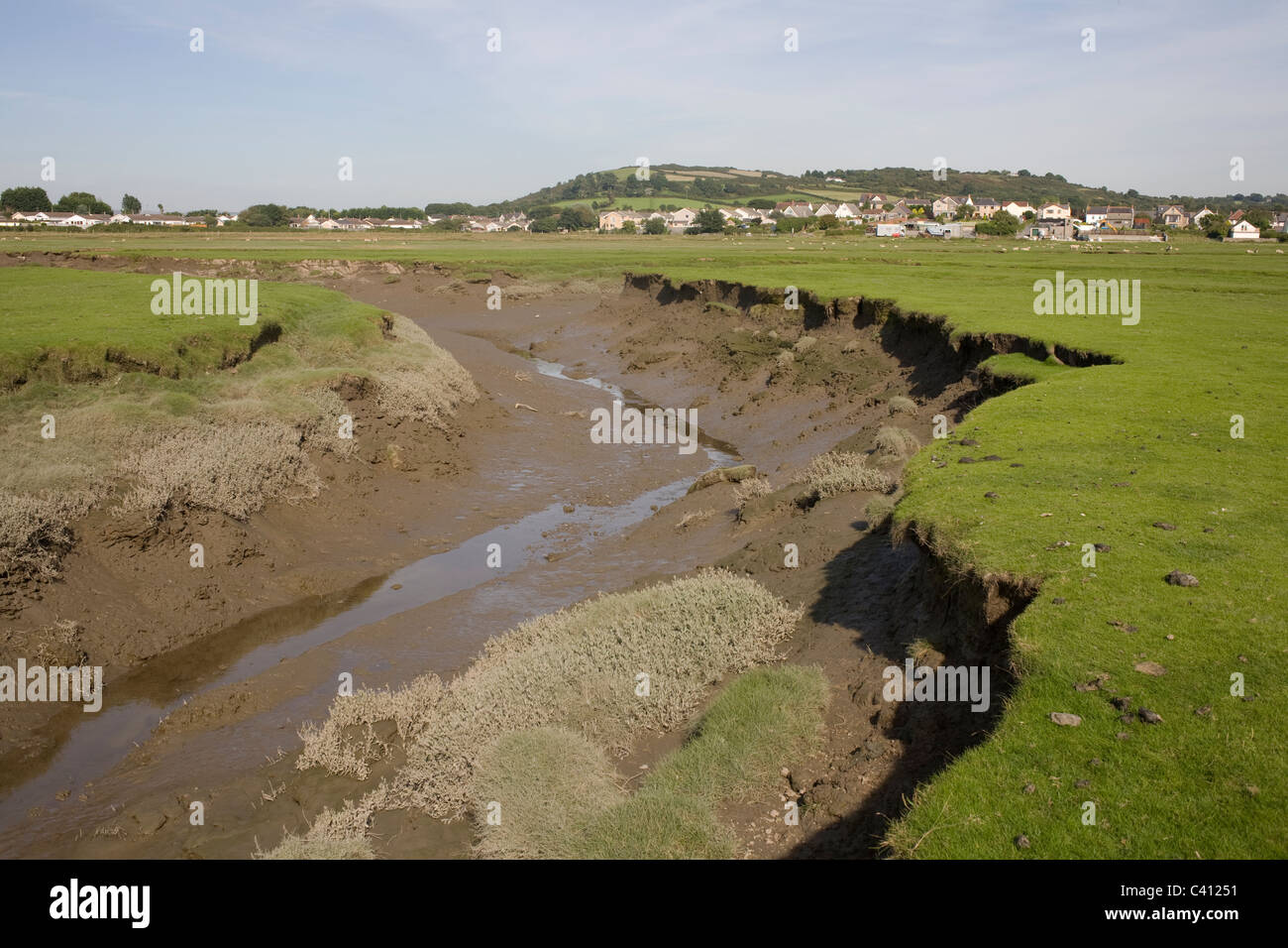 Creek in salt marsh with village of Crofty, Gower, West Glamorgan, Wales Stock Photo