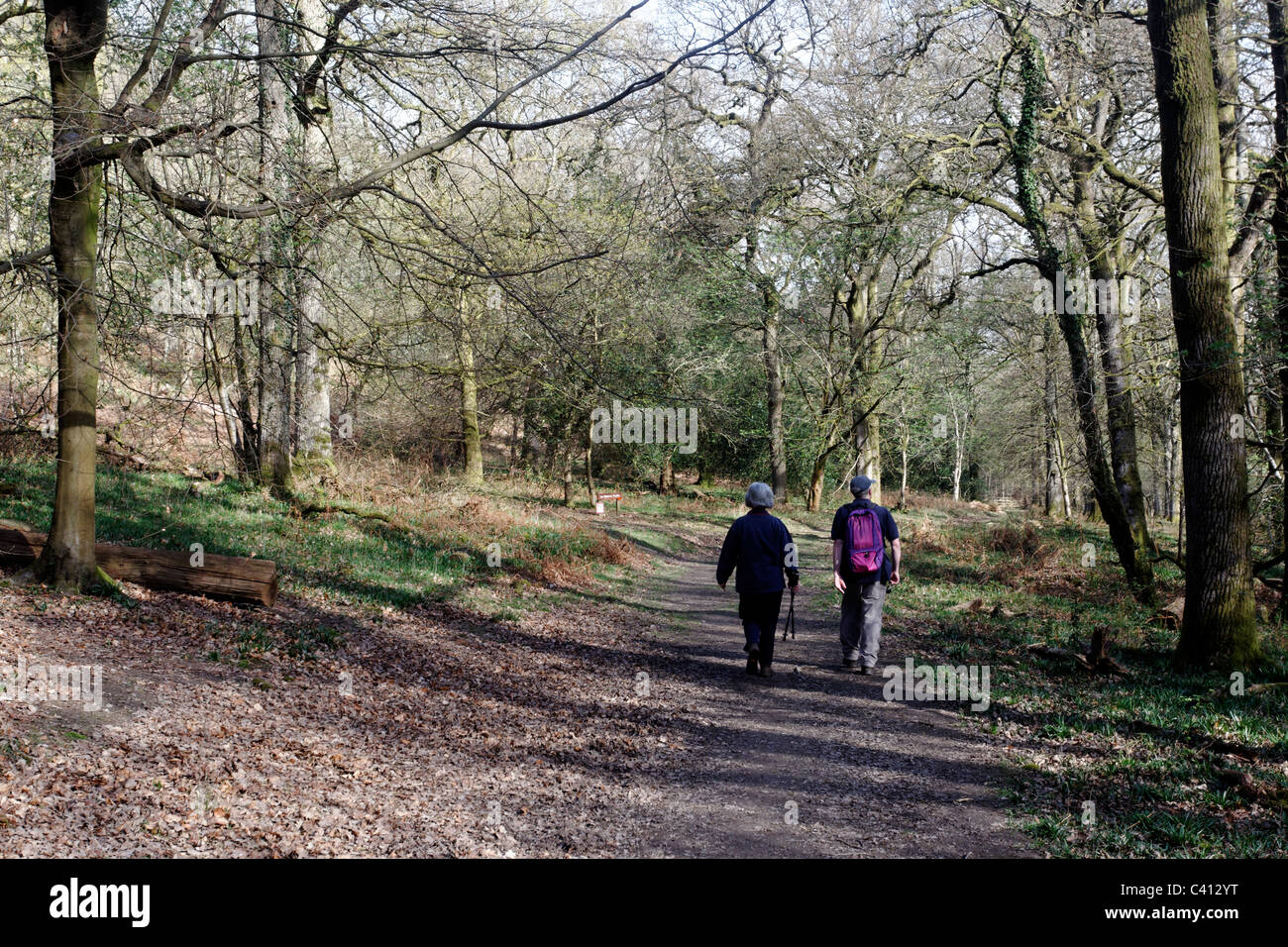 Nagshead RSPB Reserve, Forest of Dean, Gloscestershire, April 2011 Stock Photo
