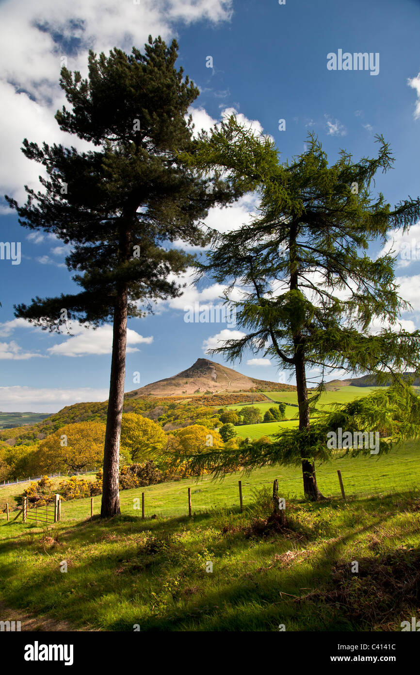 Roseberry Topping from near Cliff Ridge, near Great Ayton North